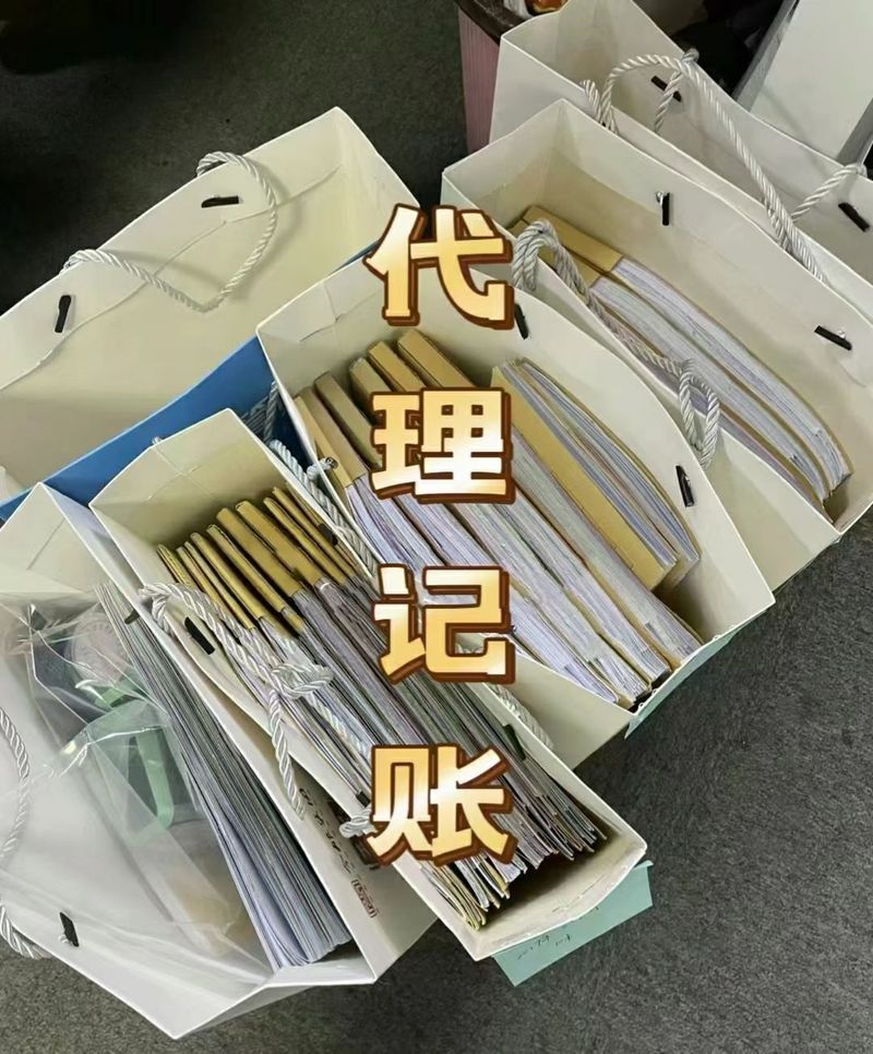 在线营业中 会计代理记账的全面指南
